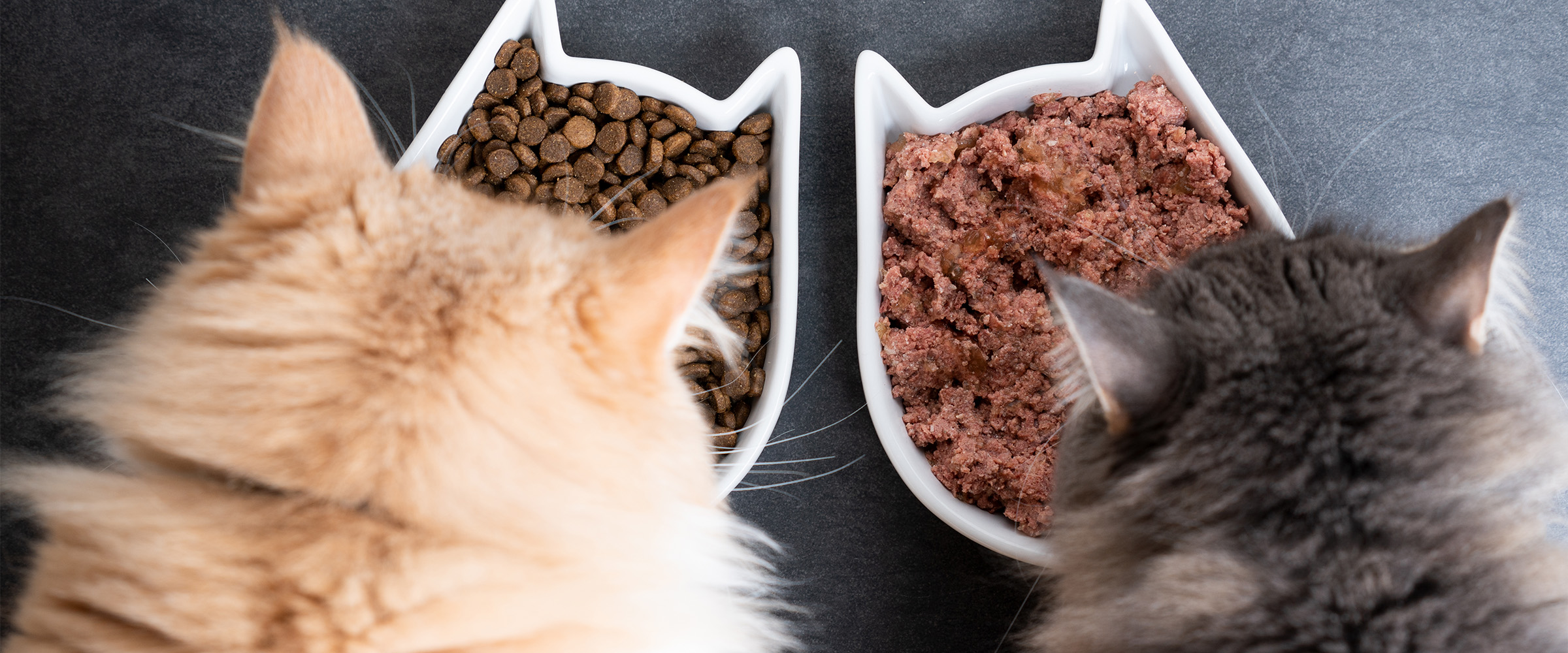 wet_dry_catfood_2