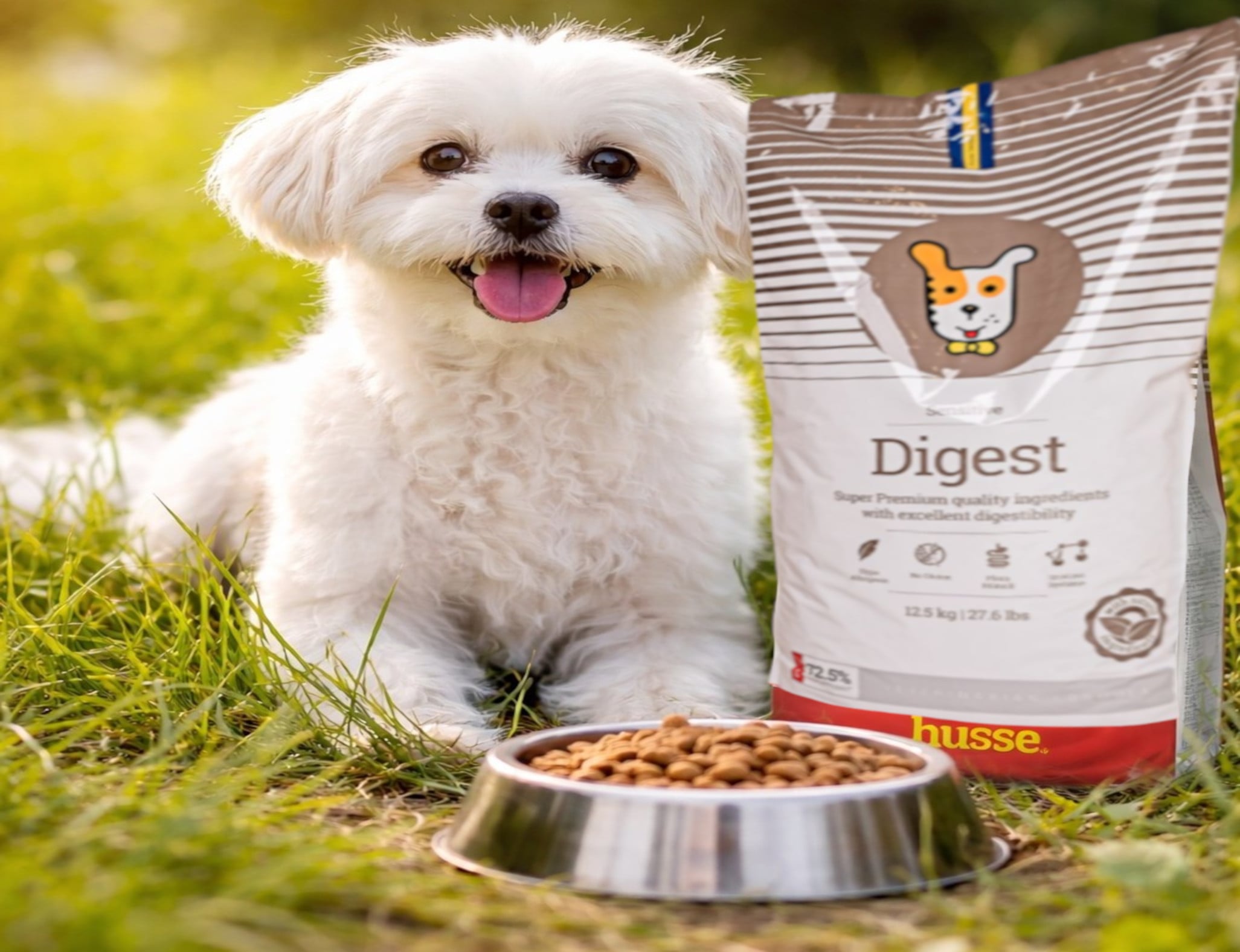 PERRO CON DIGEST ESCALADA