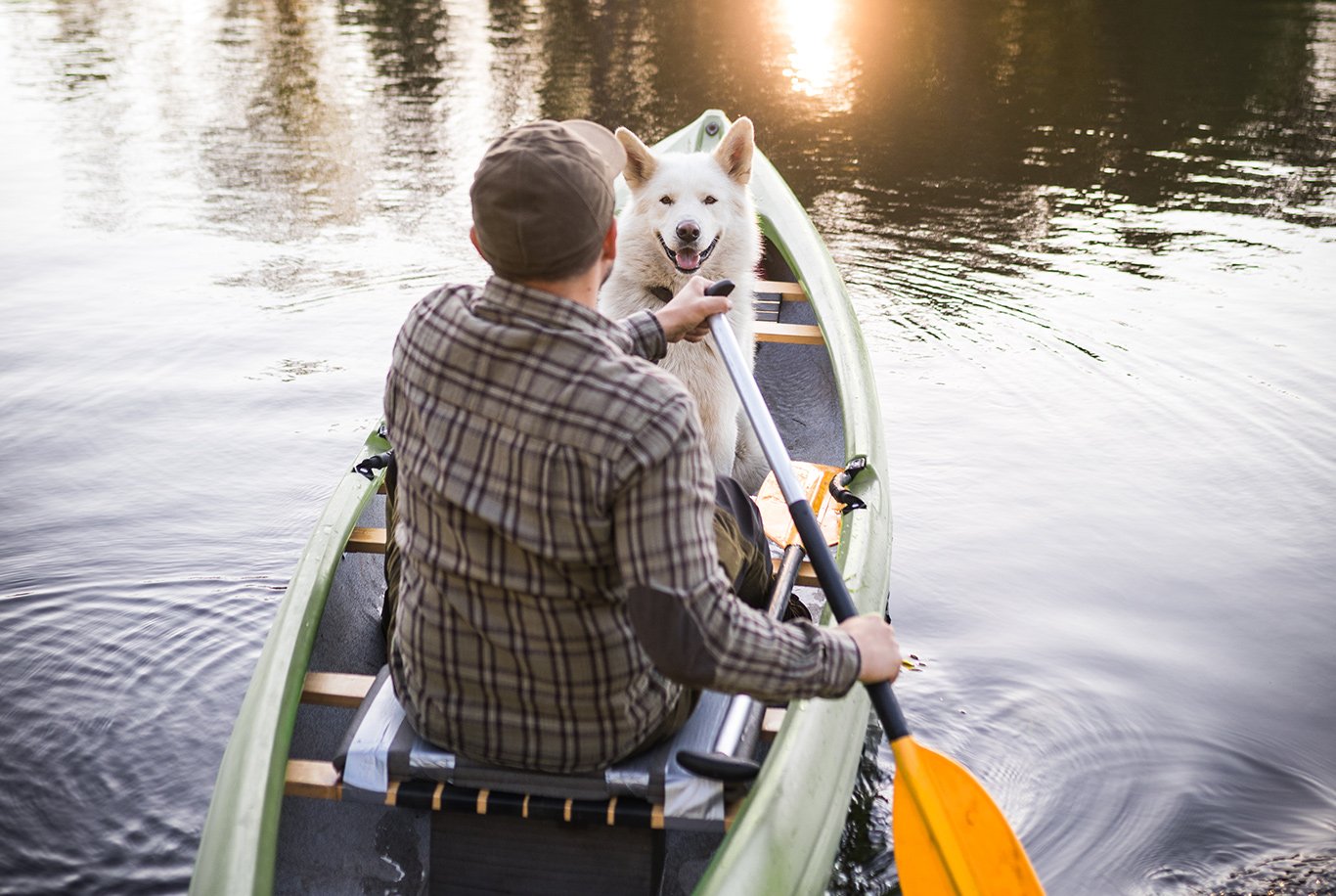 1,000+ Dog Kayak Stock Photos, Pictures & Royalty-Free Images - iStock