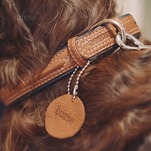 Stroll Collar, L | Adjustable dog collar Stroll Collar, L | Adjustable dog collar