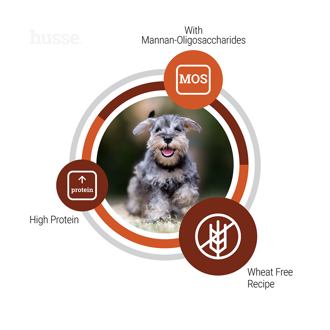 Adult Active Life, small breeds, 7 kg | Specially crafted for small dogs' everyday energy and vitality