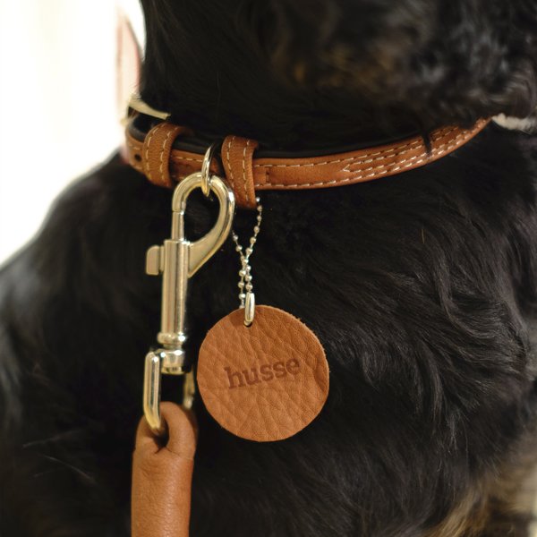 Stroll Collar, L | Adjustable dog collar Stroll Collar, L | Adjustable dog collar