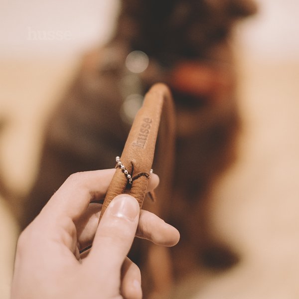 Spazierleine, 1 St. | Strapazierfähige und stylische Leine für den täglichen Gebrauch