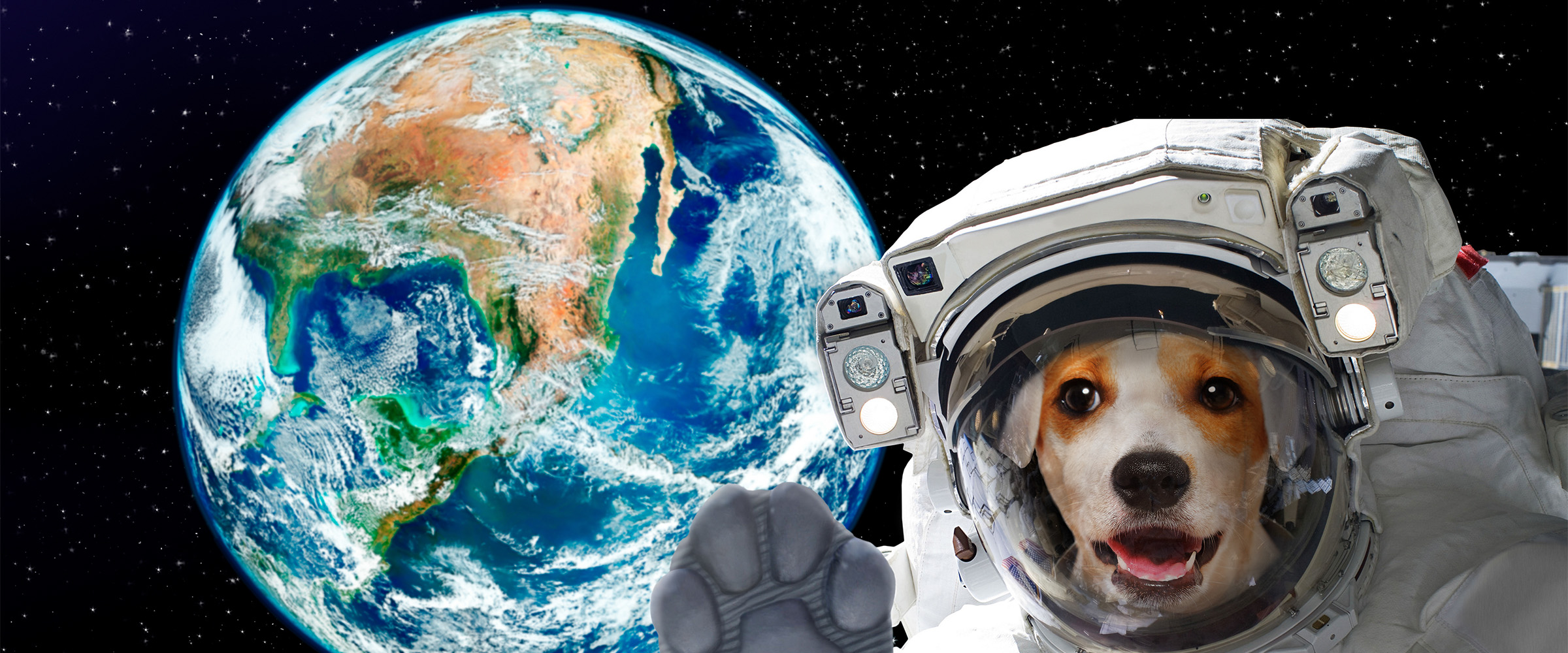 First_dog_in_cosmic_space-4