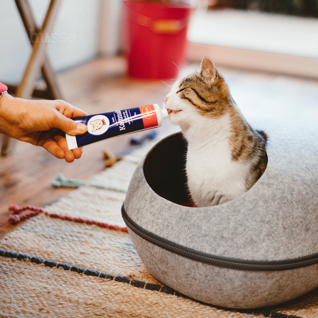 Pate anti-Boule de Poil chat en Pâte