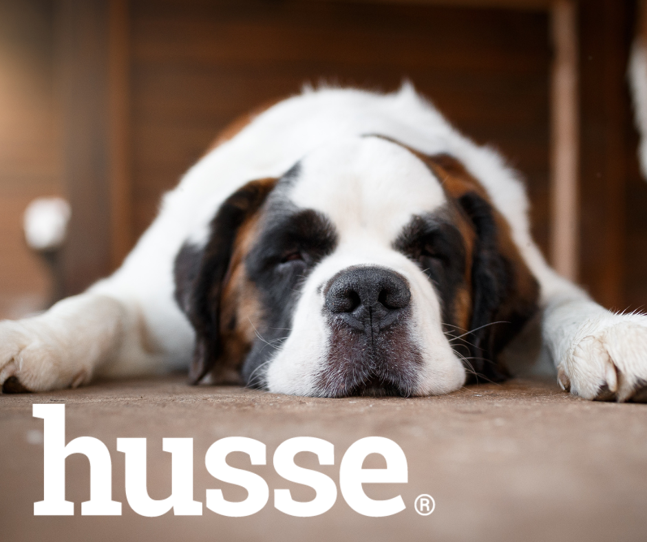 Untitled design (14)