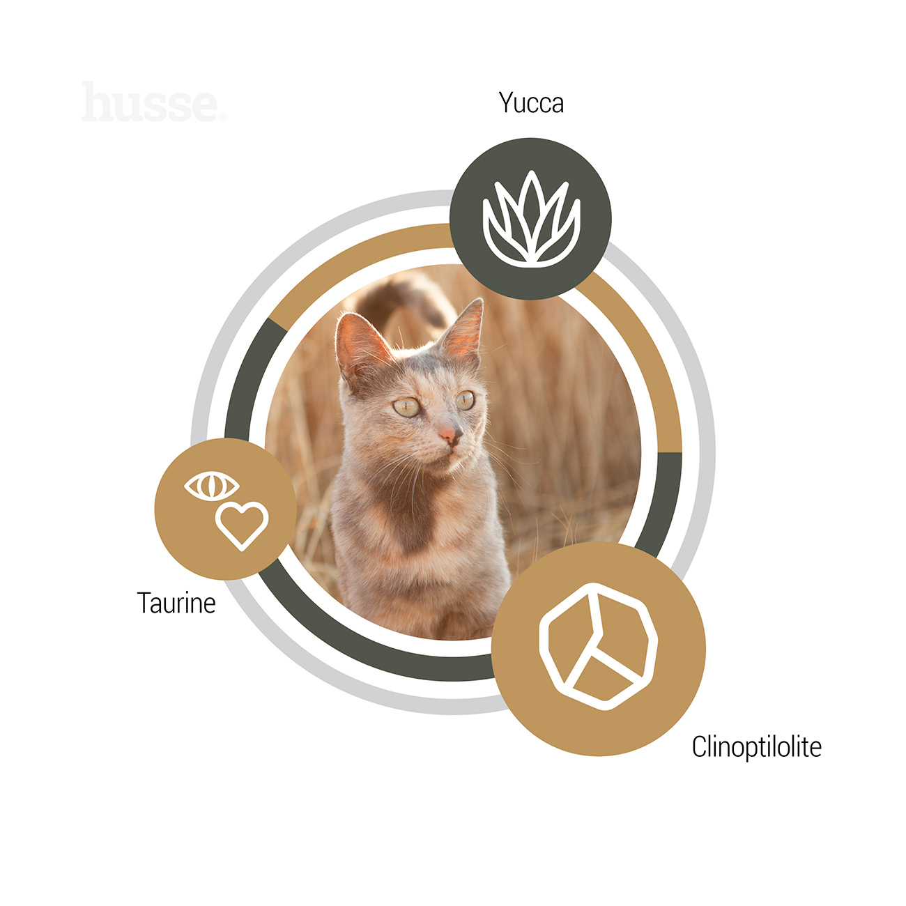 DOSSIER – Quelles sont les meilleures croquettes pour chat ? Le guide  complet