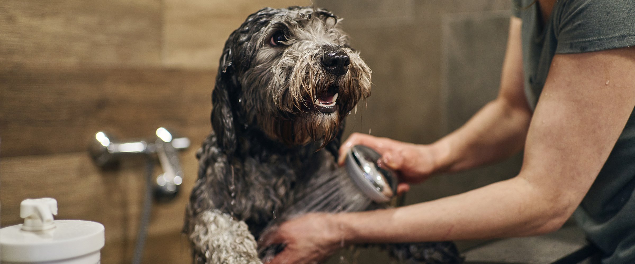 Hygiene stell