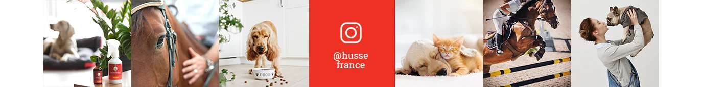 Images Instagram de Husse