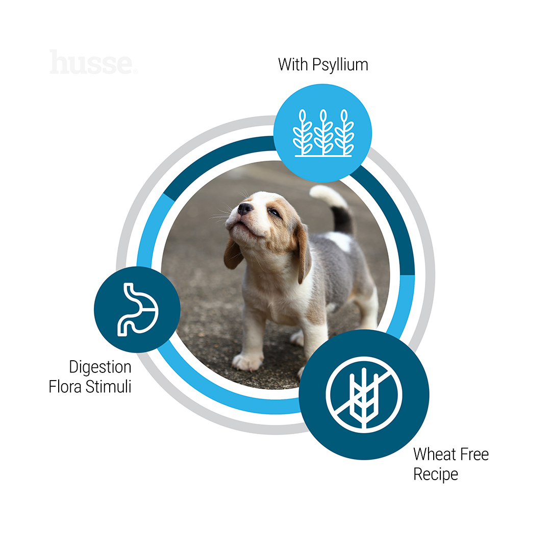 Puppy Balanced Growth, 2 kg | Tailored formula supporting natural growth & digestive comfort Puppy Balanced Growth, 2 kg | Tailored formula supporting natural growth & digestive comfort