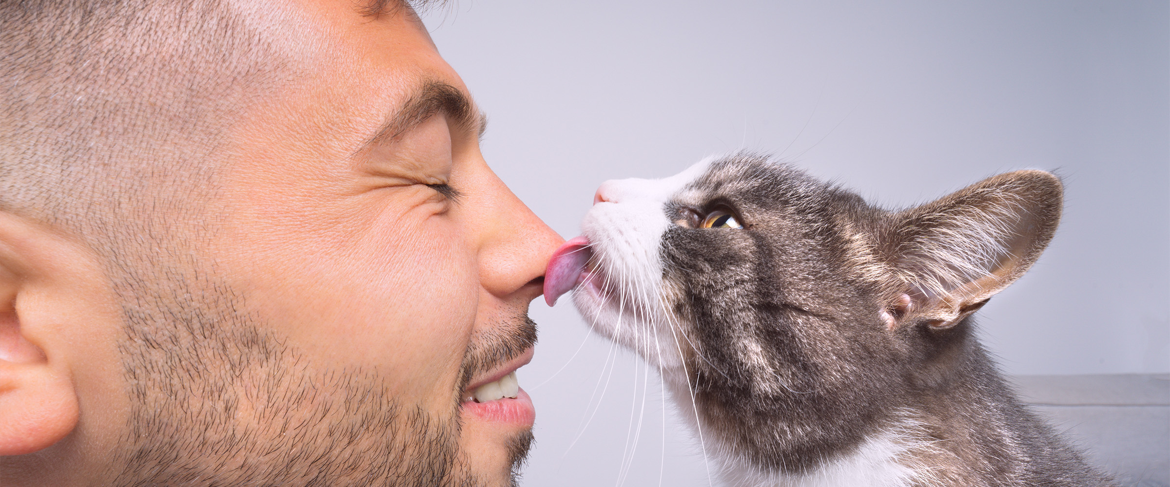 d_Why cats lick humans_4-1