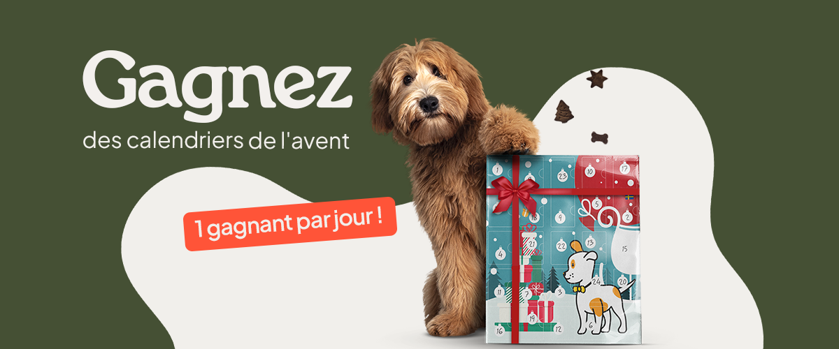 Participez à notre concours Calendrier de l'Avent 2023 en ligne