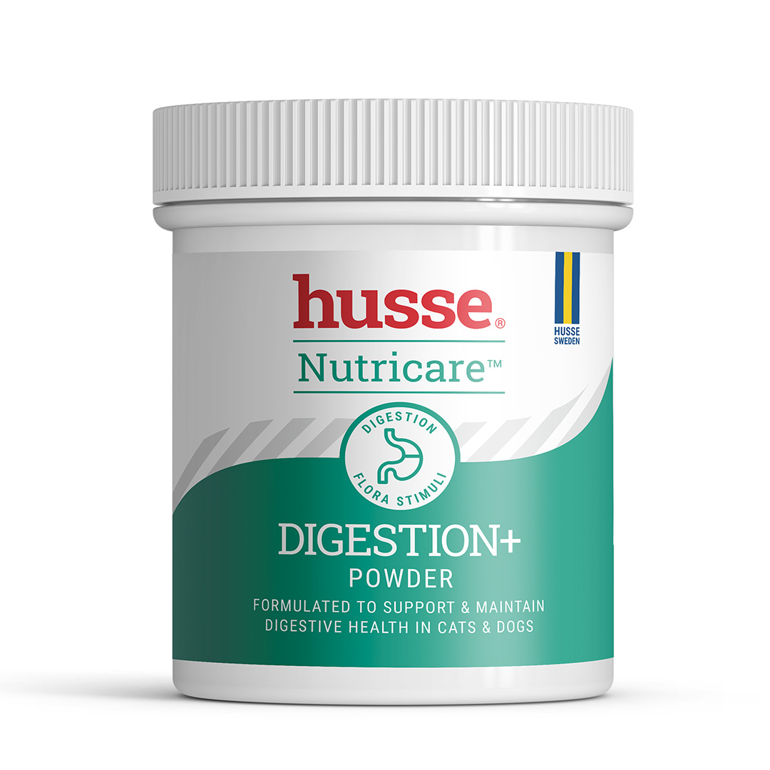 Digestion+ Powder, 100 g | Helps balance the gut flora during digestive disorders