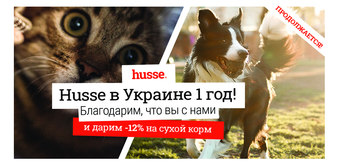 16170812341912146815