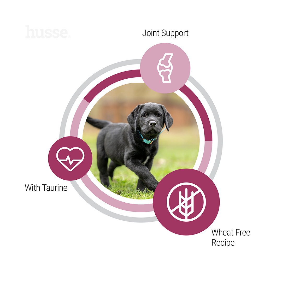 Puppy Growth & Agility, 12 kg | Tailored formula for the unique needs of large breed puppies