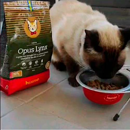 Blanquito comiendo-2