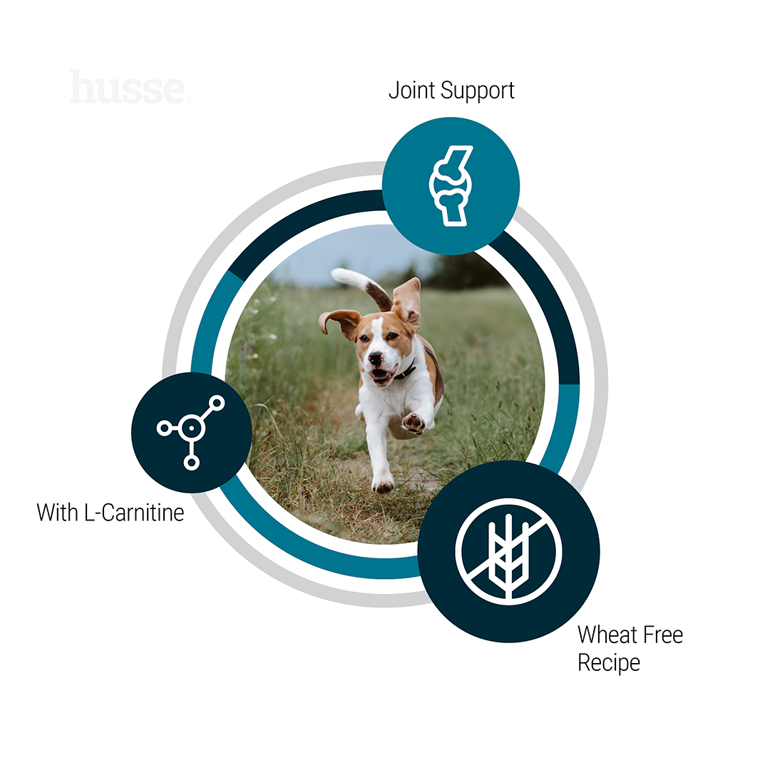 Adult Vitality, 12 kg | Vyvážená starostlivosť pre každodenné zdravie a vitalitu psov s miernymi energetickými potrebami