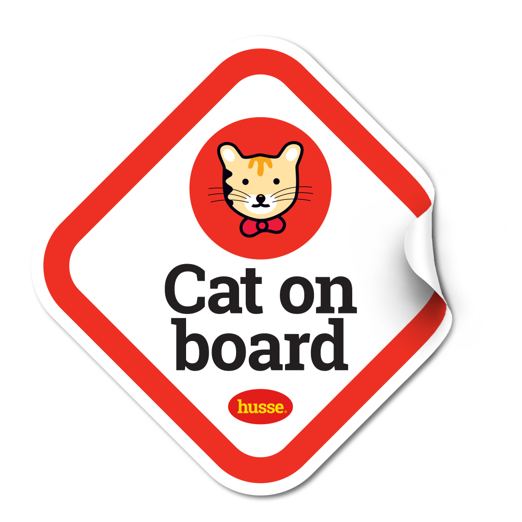 Cat on board: 1 pc