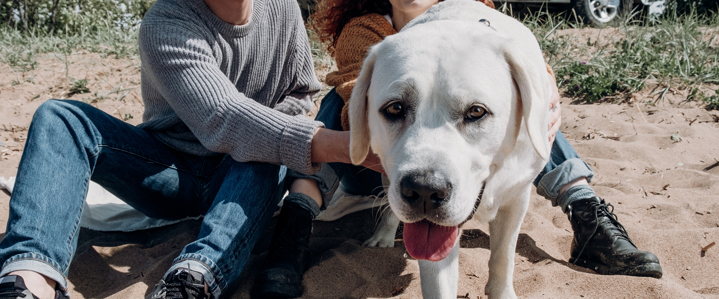 What to give your dog when hot sale he's constipated