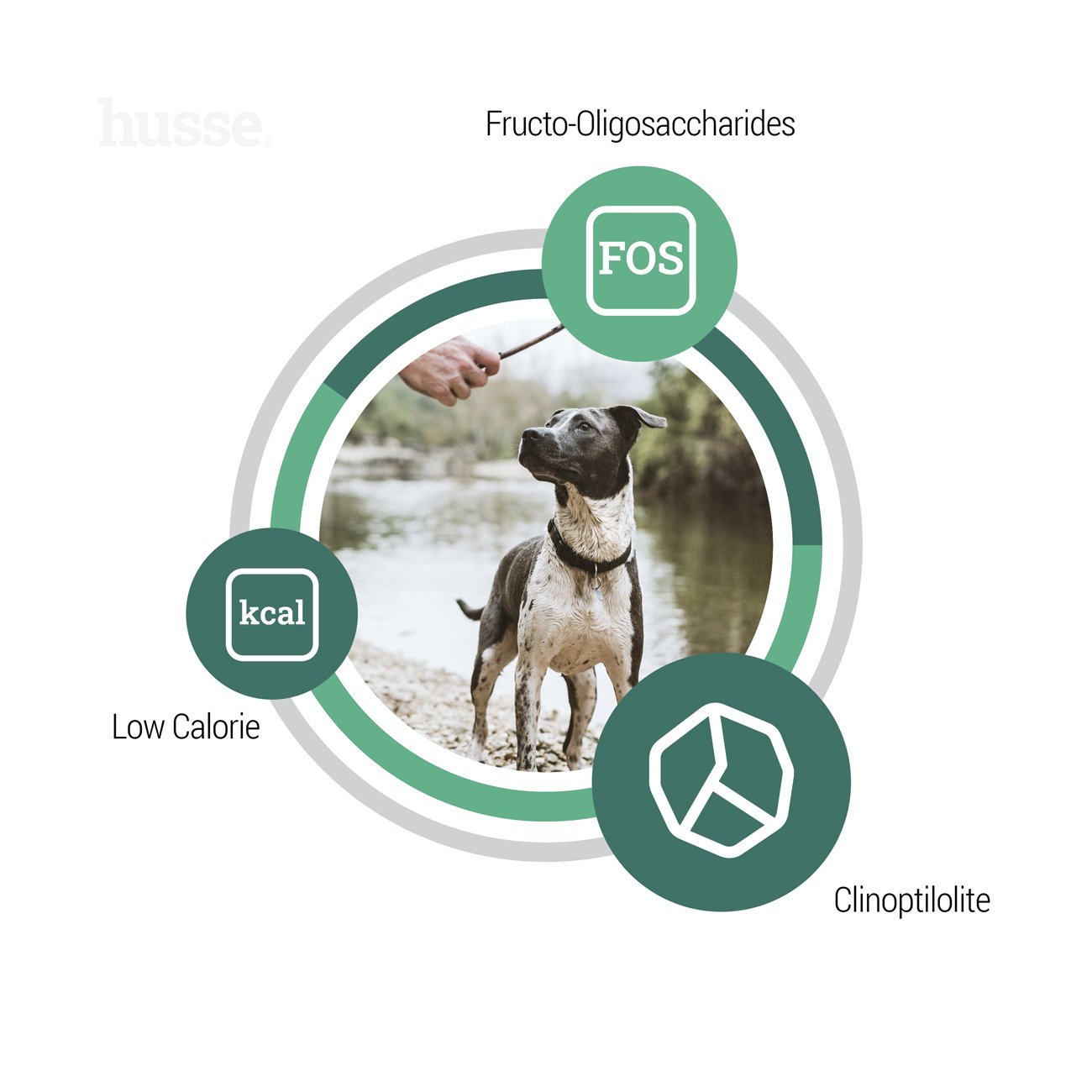 Prima Plus, 2 kg | Crocchette per cani con fabbisogno energetico normale