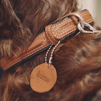 Stroll Collar, L | Adjustable dog collar Stroll Collar, L | Adjustable dog collar