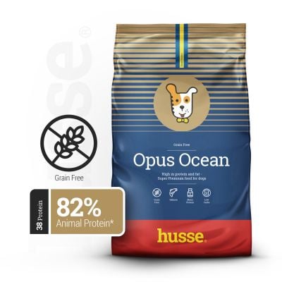 Opus Ocean, 2kg - Husse Natural Complete Adult Dry Dog Food Salmon Grain-Free Hypoallergenic