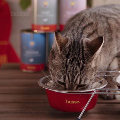 Pâtée pour chat adulte au boeuf fabriquée en France - Hariet & Rosie