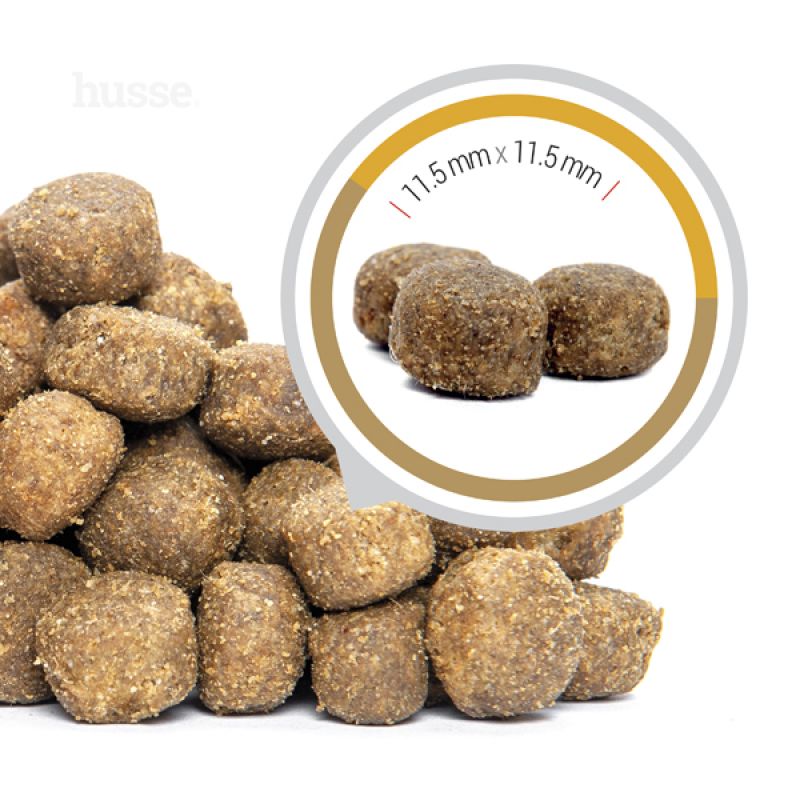 Croquettes Sans Céréales Chiens 12kg Husse