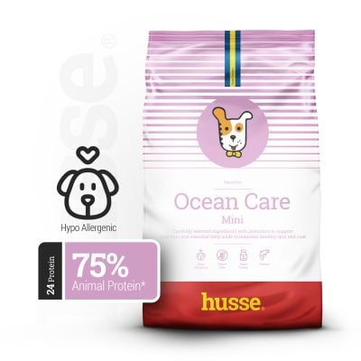 Ocean Care Mini, 2kg - Husse Small Breed Natural Complete Adult Dry Dog Food Salmon Gluten-Free Hypoallergenic