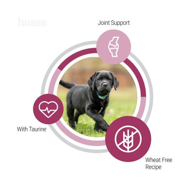 Puppy Growth & Agility, 12 kg | Tailored formula for the unique needs of large breed puppies