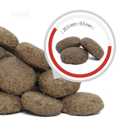 Pro Giant, 15 kg |  Perros adultos de razas grandes