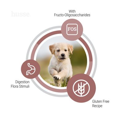 Sensitive Digest Puppy, 7 kg | Tailored formula for digestive wellness in puppies with digestive sensitivities